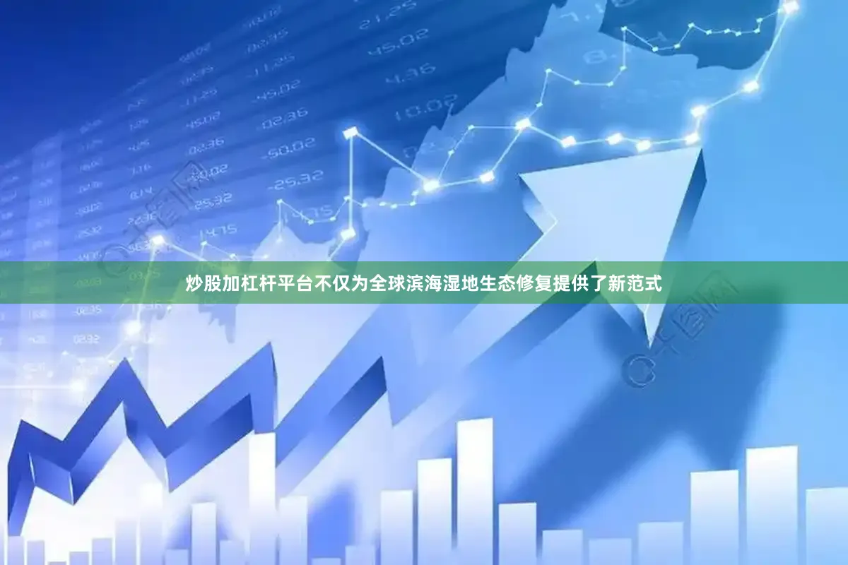 炒股加杠杆平台不仅为全球滨海湿地生态修复提供了新范式