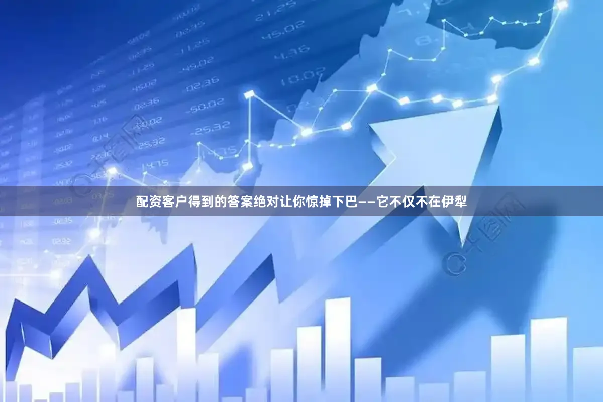 配资客户得到的答案绝对让你惊掉下巴——它不仅不在伊犁