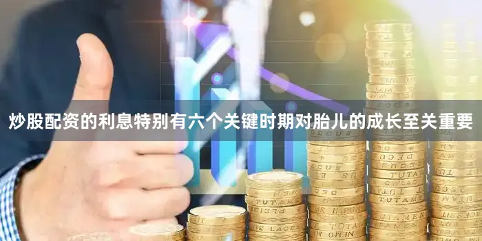 炒股配资的利息特别有六个关键时期对胎儿的成长至关重要