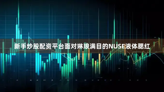 新手炒股配资平台面对琳琅满目的NUSE液体腮红