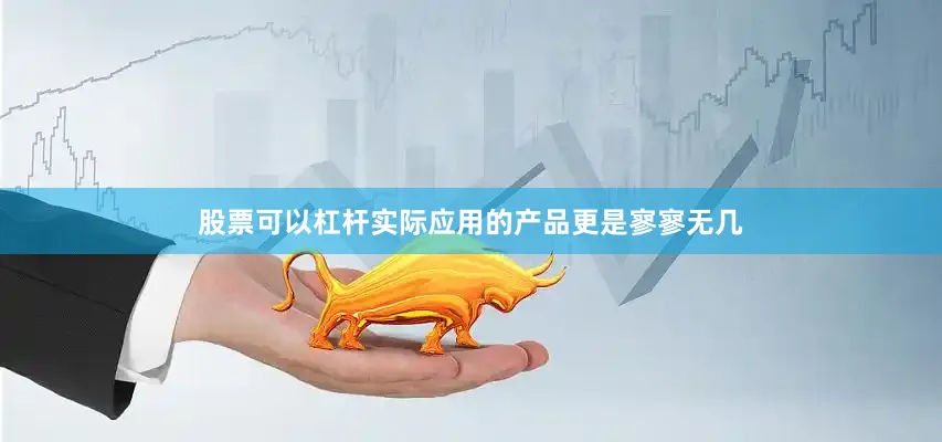 股票可以杠杆实际应用的产品更是寥寥无几
