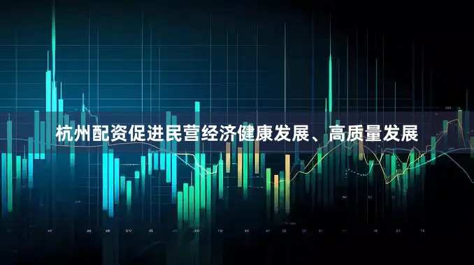 杭州配资促进民营经济健康发展、高质量发展