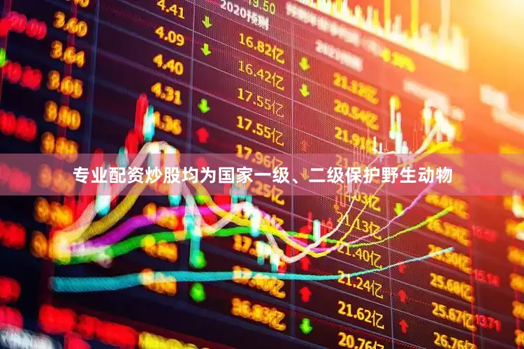 专业配资炒股均为国家一级、二级保护野生动物